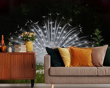 White peacock by John Leeninga