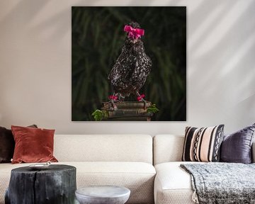 Kuifhoender met roze strik, Crested hen with pink bow van Corrine Ponsen