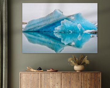 Blauw ijs  van Patricia Hofmeester