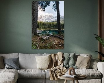 Natuurlijk frame van swc07