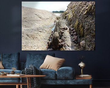 Wachtend op het water