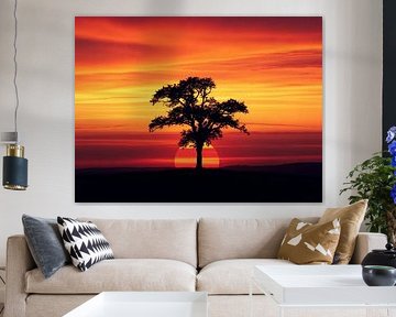 Silhouette de coucher de soleil sur Artistic