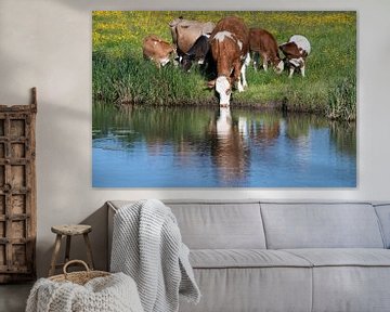 Een groep runderen aan de oever van een rivier van Ulrike Leone