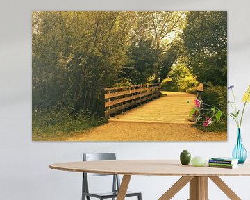 Houten brug in het bospad