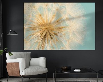Zachtheid van een Tragopogon met turquoise achtergrond van Marjolijn van den Berg