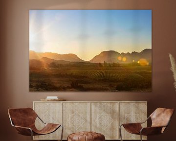 Zonsondergang boven de Afrikaanse wijnvelden by Dexter Reijsmeijer