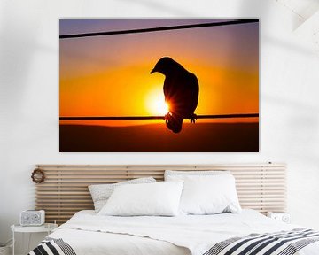 Zonsondergang Silhouet Afrikaanse Vogel van Dexter Reijsmeijer