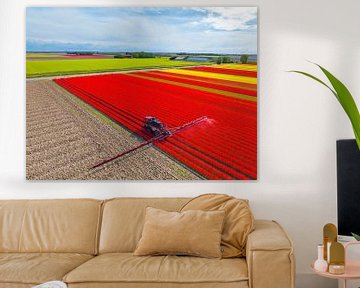 Landbouw onkruidspuit in een tulpenveld in de lente van Sjoerd van der Wal Fotografie