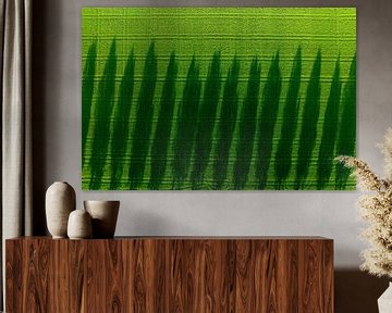 Bomen werpen lange schaduwen over veld tijdens lentezonsondergang van Sjoerd van der Wal Fotografie