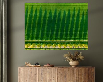 Bomen werpen lange schaduwen over veld tijdens lentezonsondergang van Sjoerd van der Wal Fotografie