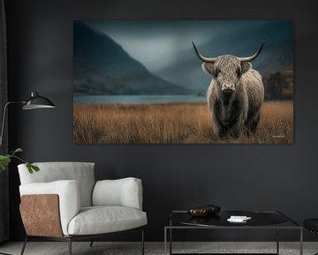 schotse hooglander / schotse hooglander kalfje van Gelissen Artworks
