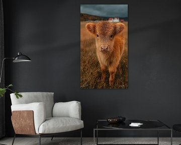 schotse hooglander / schotse hooglander kalfje van Gelissen Artworks