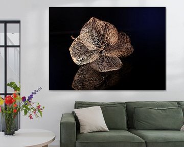 Il était une fois un hortensia sur Christiane Calmbacher