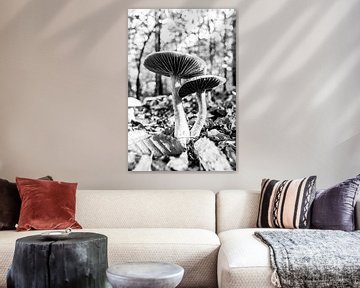 Herfst paddestoelen in zwart wit van Linda Benjamins