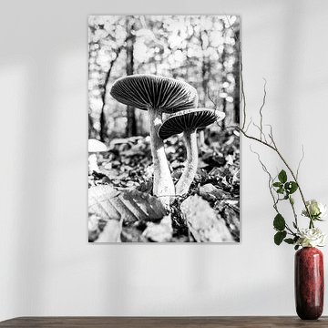 Herfst paddestoelen in zwart wit