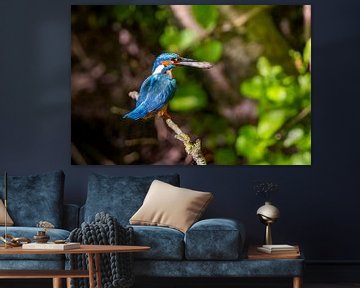 Ijsvogel met visje van Arthur Bruinen