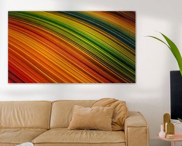 Arc-en-ciel en papier sur Monique Verlouw