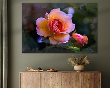 Roos van Rob Boon