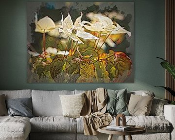 Dogwood