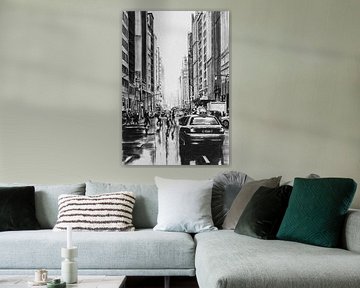 concrete jungle
