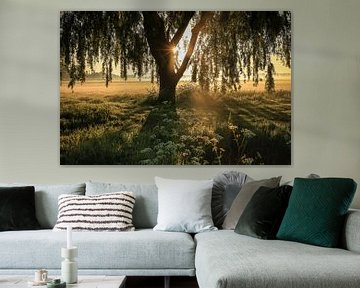 Printemps dans le polder au lever du soleil sur Eefje John