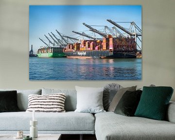Die Containerschiffe Ever Alp und Al Nefud legten am Containerterminal an. von Sjoerd van der Wal Fotografie