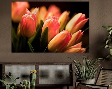 Bouquet de belles tulipes orange sur Patricia Hofmeester