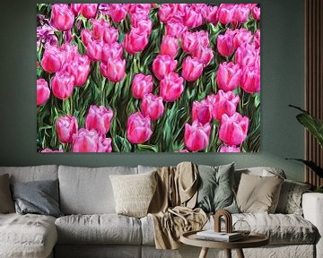 Tulipes roses impressionnistes sur Patricia Hofmeester