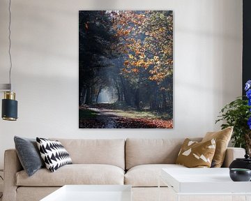 Couleurs d'automne sur Daniëlle Kuijpers