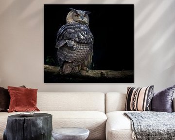 Foto van een oehoe, op een tak in het bos van Joriali fotografie en schilderijen