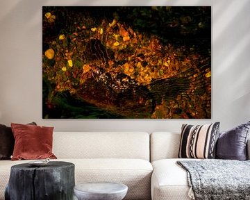 Nature abstraite sur Nick Holland
