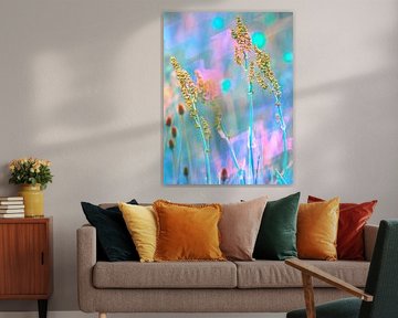 Zomerbloemen voor een wazige kleurrijke achtergrond