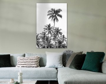 Palmbomen aan het strand bij Trincomalee in Sri Lanka van Photolovers reisfotografie