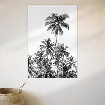 Palmiers sur la plage près de Trincomalee au Sri Lanka