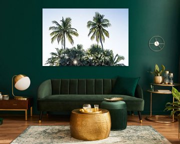 Zonderondergang met palmbomen in Sri Lanka van Photolovers reisfotografie