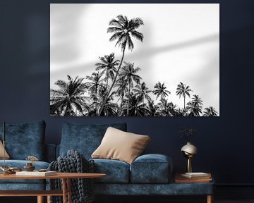 Palmbomen in zwart-wit aan de kust bij Trincomalee in Sri Lanka van Photolovers reisfotografie