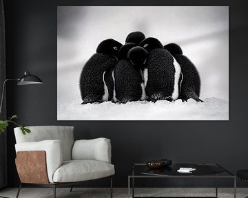 Groep pinguïns in de sneeuw van Imperial Art House