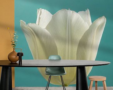 Simplicity in a square with soft colours: A tulip with turquoise background by Marjolijn van den Berg