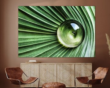 Glass ball on palm leaf by Frank Heinz