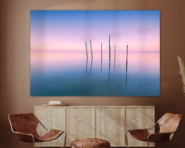 Friesland on the mudflats by Carin Captures