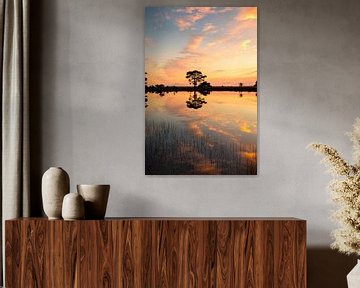 Gouden uur in het Dwingelderveld met reflecties van KB Design & Photography (Karen Brouwer)