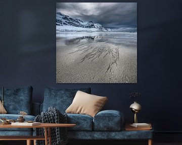 Norwegian fjord with beach in winter by Chris Stenger