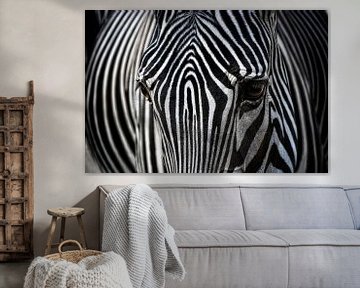 african stripes van Joachim G. Pinkawa