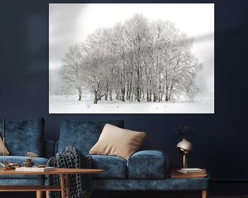 Winterlandschaft Hohes Venn