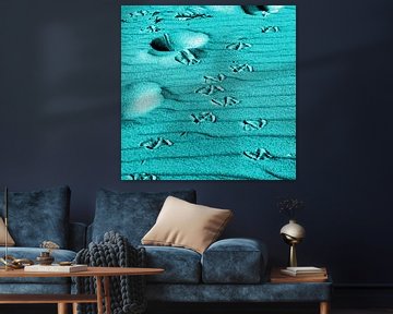 Turquoise gekleurde zandsporen op het duin van de Oostzee van Silva Wischeropp