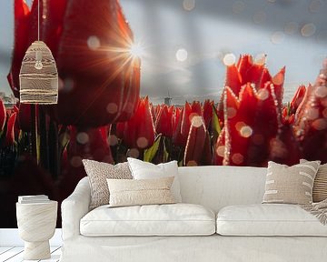 Tulpen, hell & Wasser von Larissa van Hooren