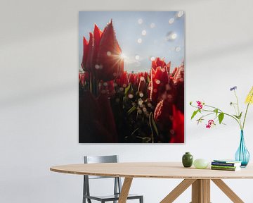 Tulpen, hell & Wasser von Larissa van Hooren
