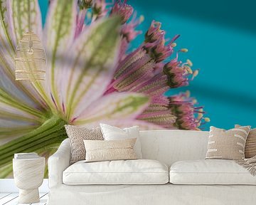 Colourful close-up: Zeeland knot from below by Marjolijn van den Berg