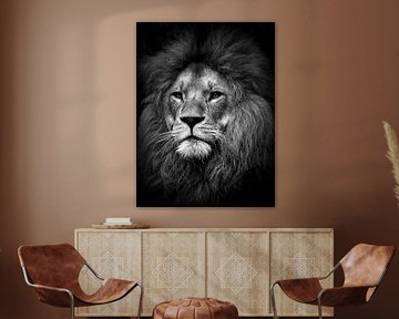 Lion - the lion - leeuw by Reiner Borner