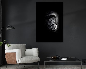 Gorille - Portrait sur Reiner Borner
